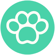 Pet Shop Servicii Publice